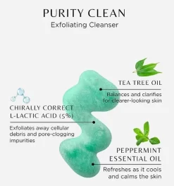 Cosmedix Purity Clean -Skin Care Store CosmedixPurityCleanIngredients