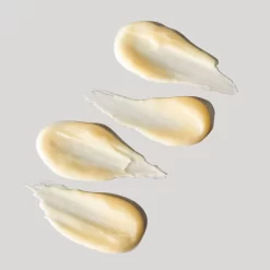 Dermalogica Melting Moisture Masque -Skin Care Store DermalogicaMeltingMoistureMasque