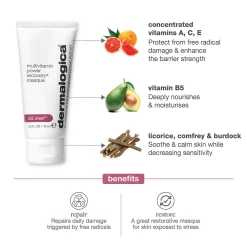 Dermalogica Multivitamin Power Recovery Masque -Skin Care Store MultiVitaminPowerRecoveryMasque
