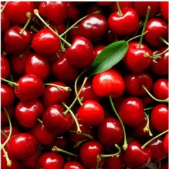 Cosmedix Rescue 15 Cosmedix Rescue -Skin Care Store RescueWithCherryExtractBalmMask 50g cosmedix repair restore cosmedix 703870 620x 9f6819af 8ac9 46fc b36b 1d9ffc0f1af0