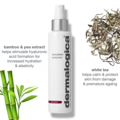 Dermalogica Antioxidant Hydramist -Skin Care Store dermalogica antioxidant mist